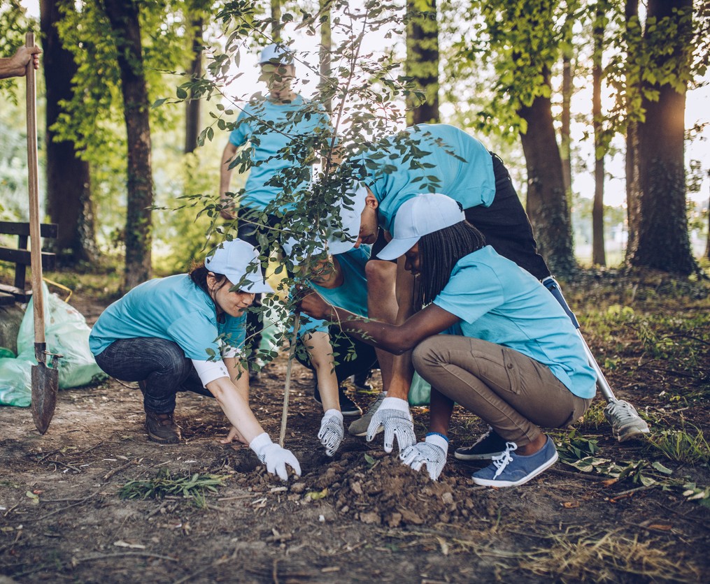 Sustainability